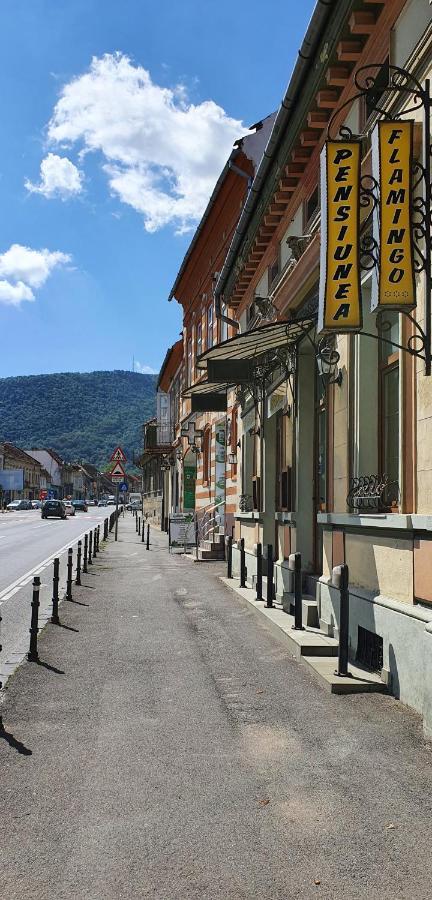 Pension Flamingo Braşov Exterior foto