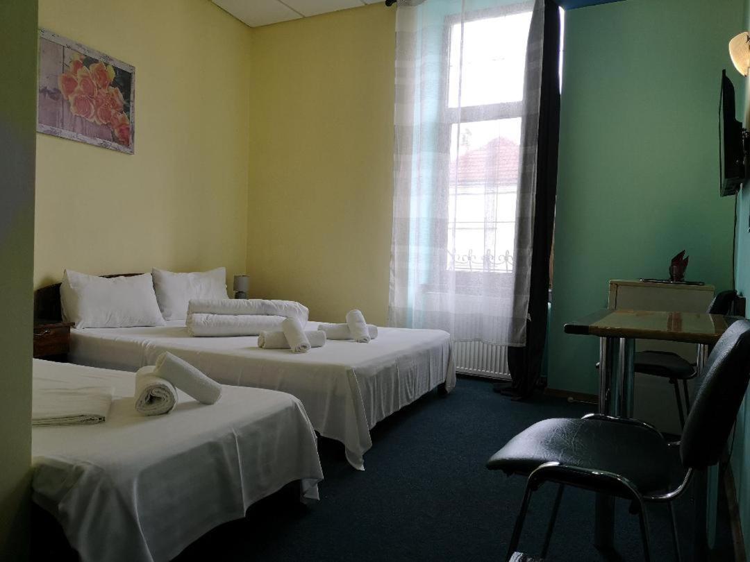 Pension Flamingo Braşov Exterior foto