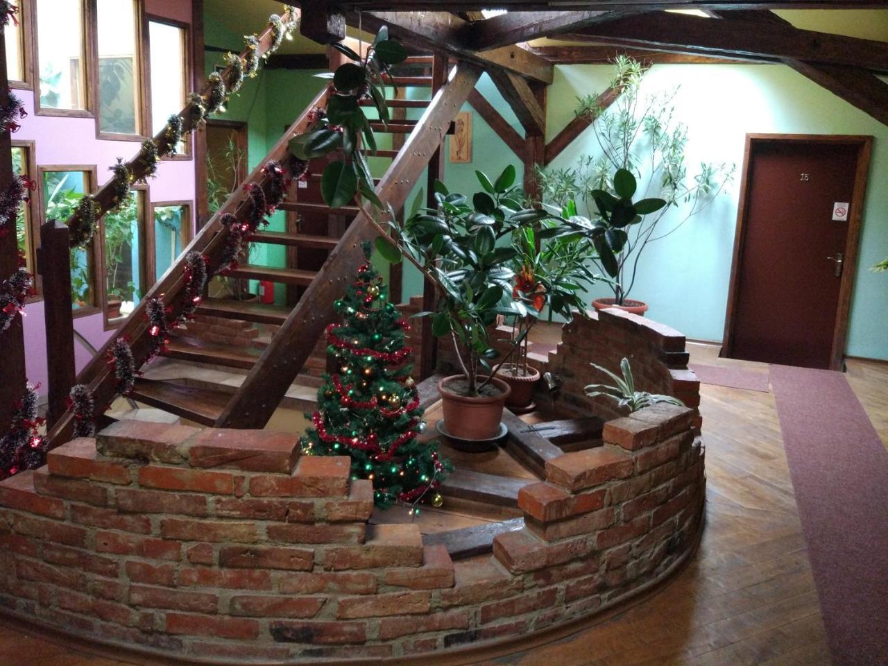 Pension Flamingo Braşov Exterior foto
